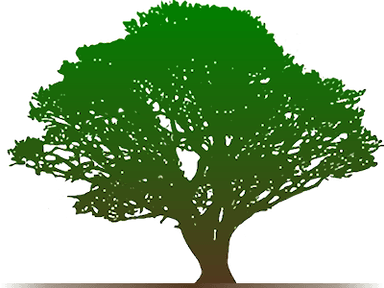 North Manatee Tree Service